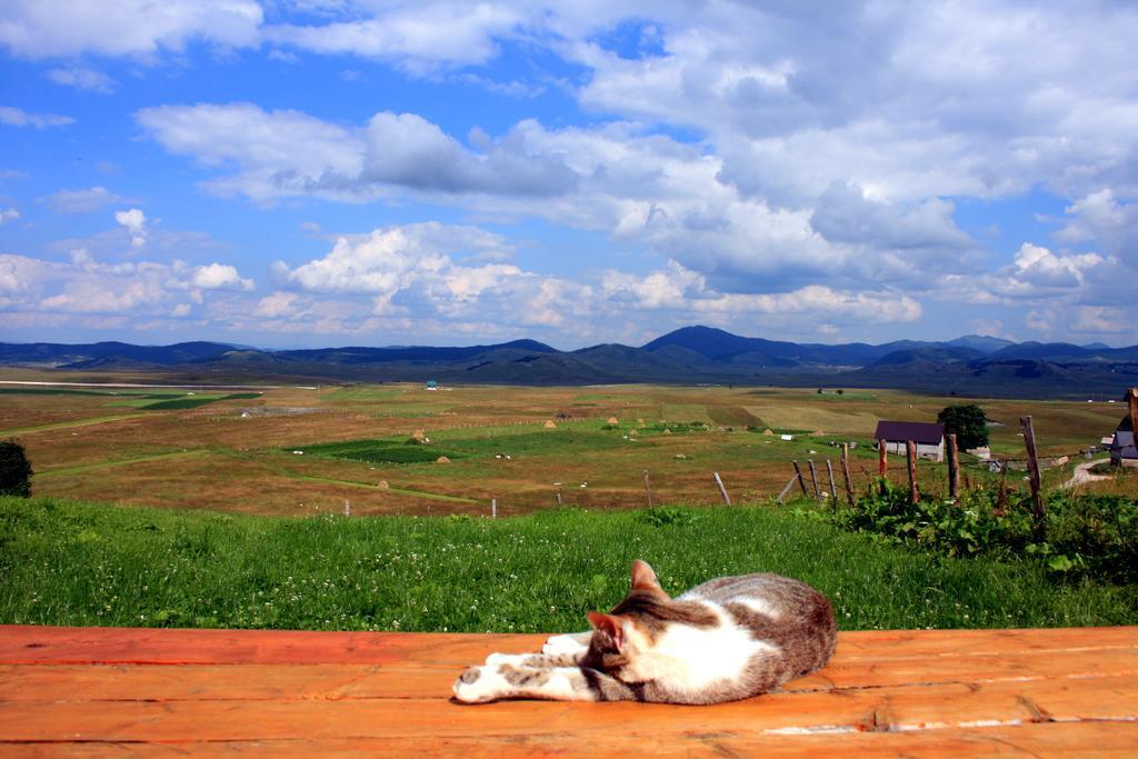 Family Farm Bungalow Žabljak Eksteriør bilde